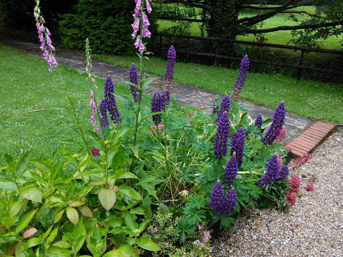 Felbrigg Lodge Bed And Breakfast Aylmerton ภายนอก รูปภาพ